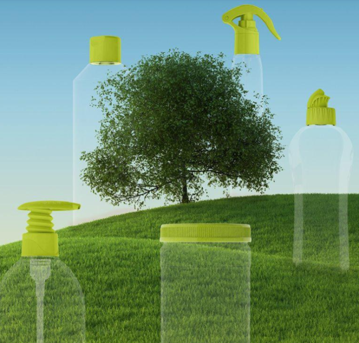 Join Riekes Journey Toward a Bright Future of Sustainable Innovation